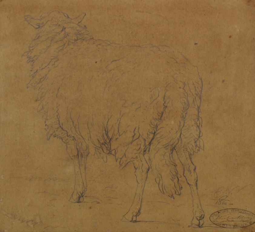 tableau Le mouton Verboechoven Eugne animaux  crayon carton 19e sicle