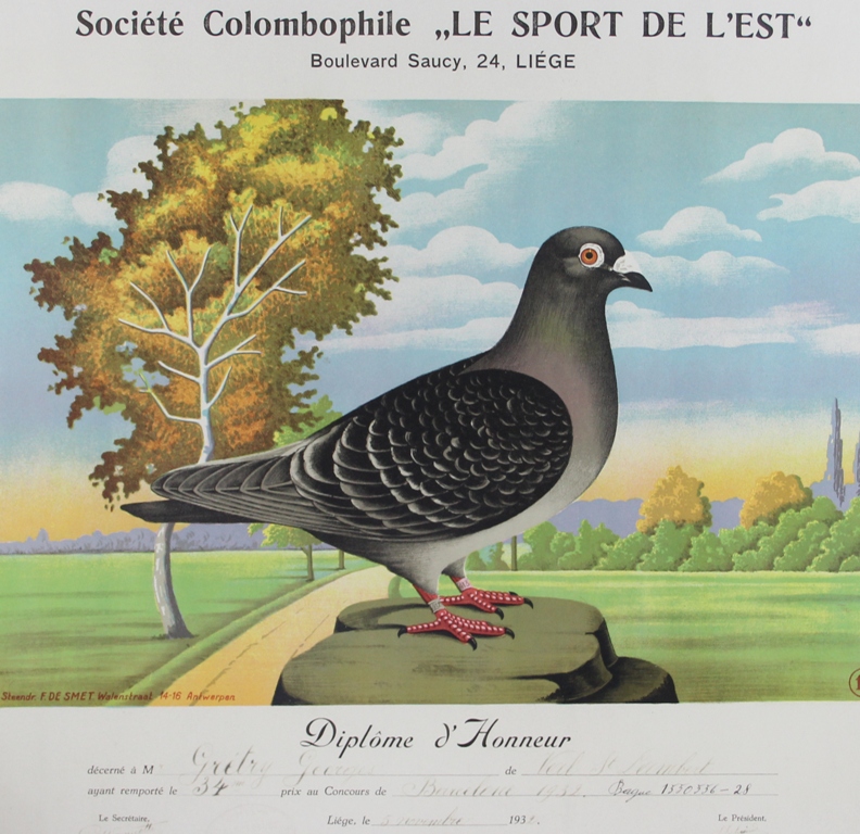 tableau Pigeon d'honneur   animaux  estampe papier 1re moiti 20e sicle