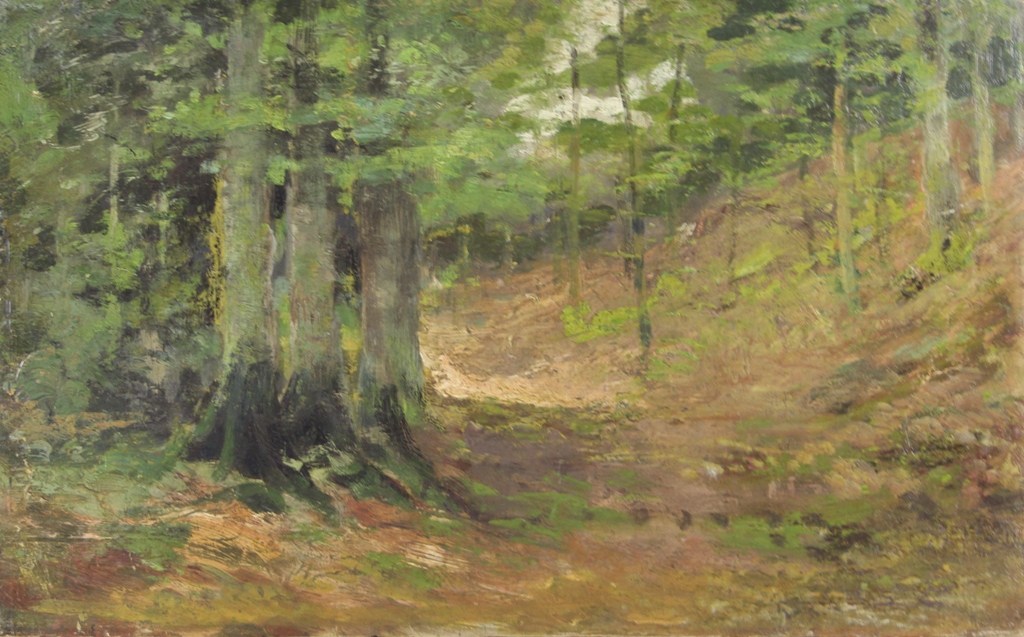 tableau Lumière en sous bois   paysage,sous-bois  huile panneau 1ère moitié 20e siècle