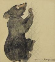 tableau L'ourson Hagemans Germaine animaux  crayon papier 2ième moitié 20e siècle