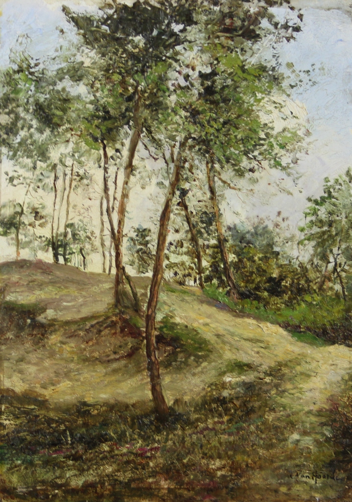 tableau Paysage sablonneux  Van Hoorde Constant paysage  huile panneau 1re moiti 20e sicle