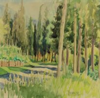 tableau Cyprès et vignes à Viareggio Van Witzenburg Johanna paysage  aquarelle papier 2ième moitié 20e siècle