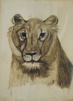 tableau Le lion Lampe Louis animaux  crayon papier 19e sicle