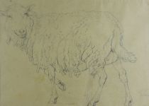 tableau Le mouton Verboechoven Eugène animaux  crayon papier 19e siècle