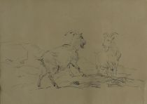 tableau Regard de boucs Verboechoven Eugène animaux  crayon papier 19e siècle
