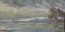tableau Paysage sur l'étang Delsaux Willem (Guillaume) paysage  huile toile 21e siècle