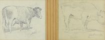 tableau Les vaches Bernier Géo animaux  crayon papier 1ère moitié 20e siècle