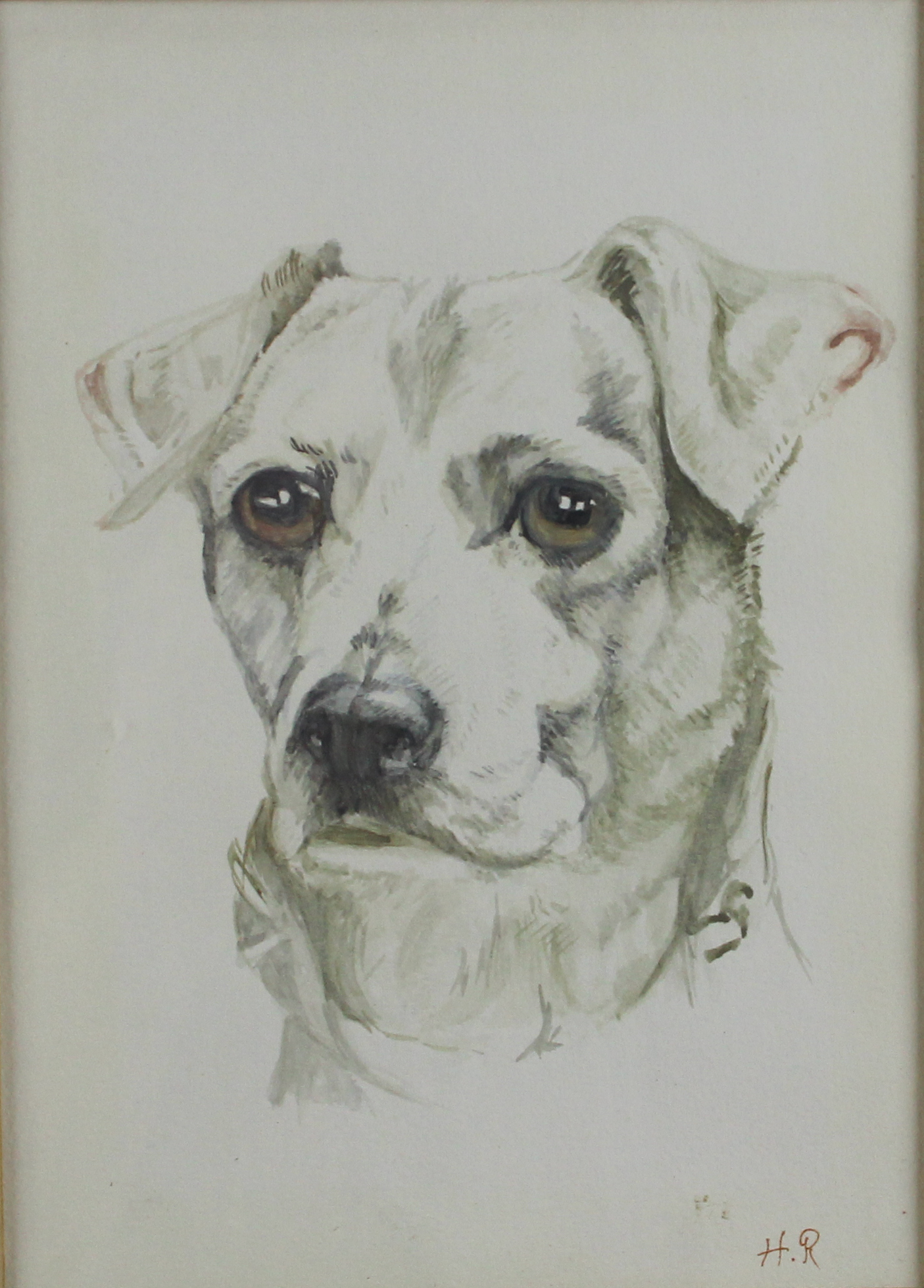 tableau Le chien   animaux,portrait  gouache papier 