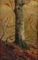 tableau L'arbre en forêt   paysage,paysage de montagne,sous-bois  huile panneau 1ère moitié 20e siècle
