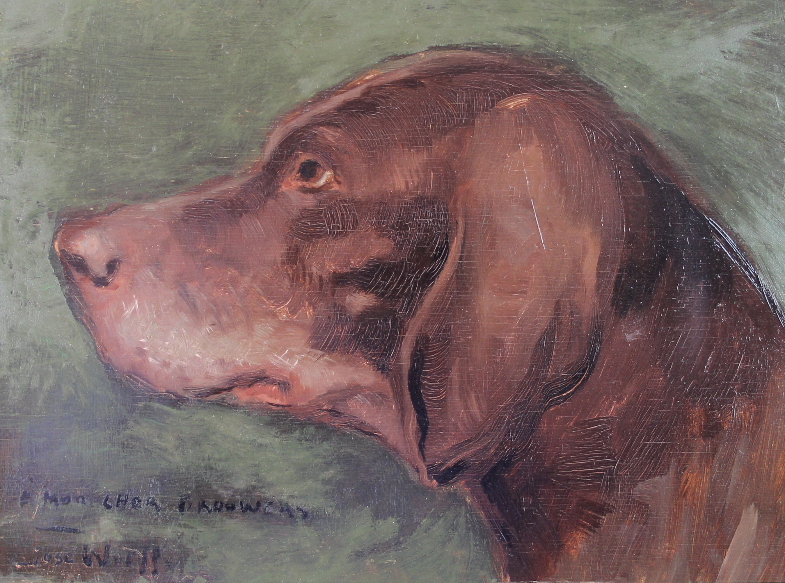 tableau Le chien des Brouwers Wolff José animaux  huile panneau 1ère moitié 20e siècle