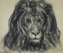 tableau Le lion Wansart  Eric animaux  fusain papier 1re moiti 20e sicle