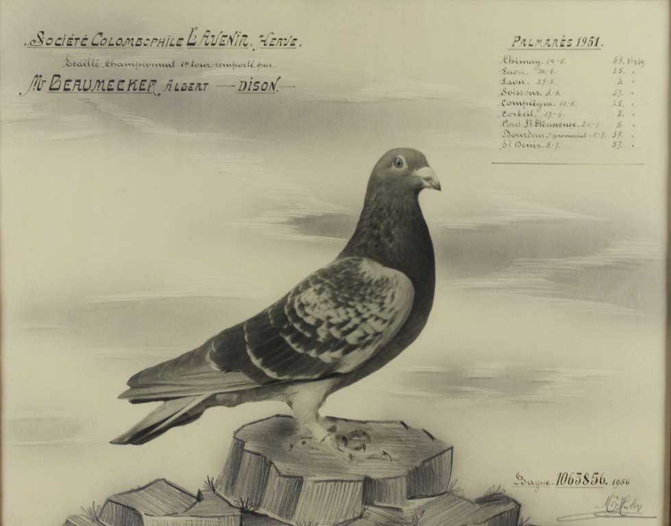 tableau Pigeon de course Hubin Marie-Louise animaux  mixte papier 2ime moiti 20e sicle