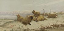 tableau Les moutons   animaux,paysage  mixte papier 19e sicle