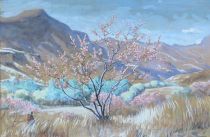 tableau Sud Afrique Withers Mabel H.M. paysage,paysage de montagne,africaniste  gouache papier 