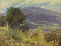 tableau Le mont Ventoux   paysage,paysage de montagne  huile panneau 2ième moitié 20e siècle