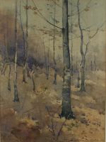 tableau Le sous bois Outer Nestor paysage,sous-bois  aquarelle papier 19e siècle
