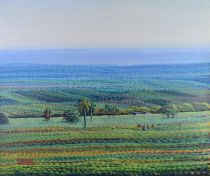 tableau Paysage animé de Haïti  Seide Jean Adrien paysage,personnage  huile toile 2ième moitié 20e siècle