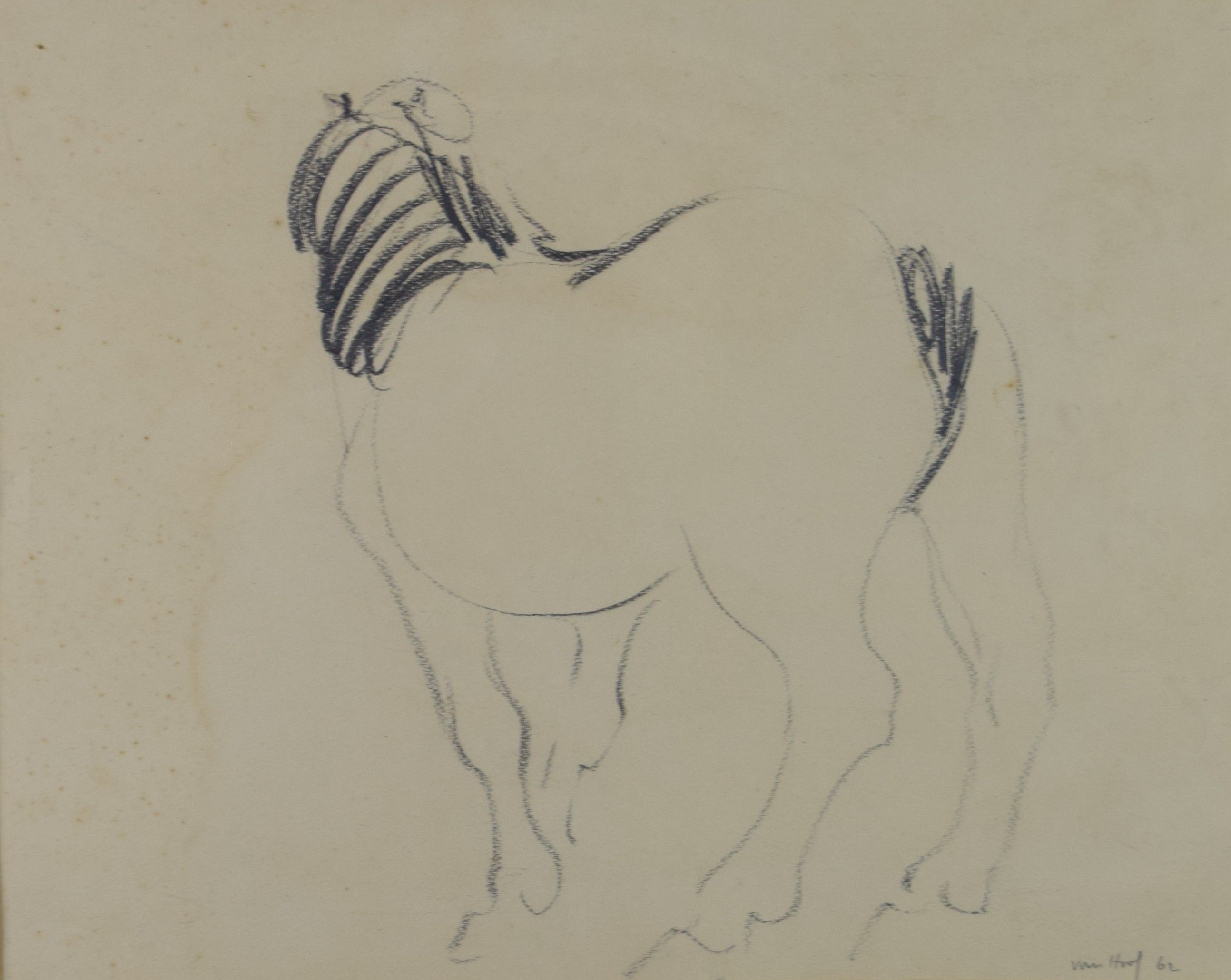 tableau Le cheval Van Hoof Jef animaux  fusain papier 2ième moitié 20e siècle