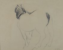 tableau Le cheval Van Hoof Jef animaux  fusain papier 2ième moitié 20e siècle