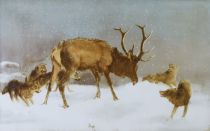 tableau L'attaque des loups   animaux,chasse pêche    