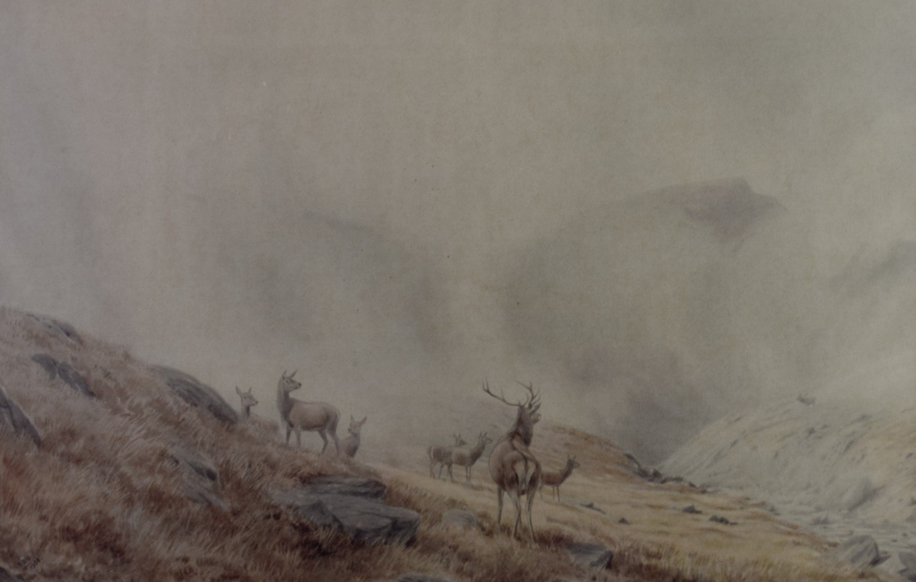 tableau Les cervidés  Balfour-Browne Vincent R animaux,paysage  aquarelle  1ère moitié 20e siècle