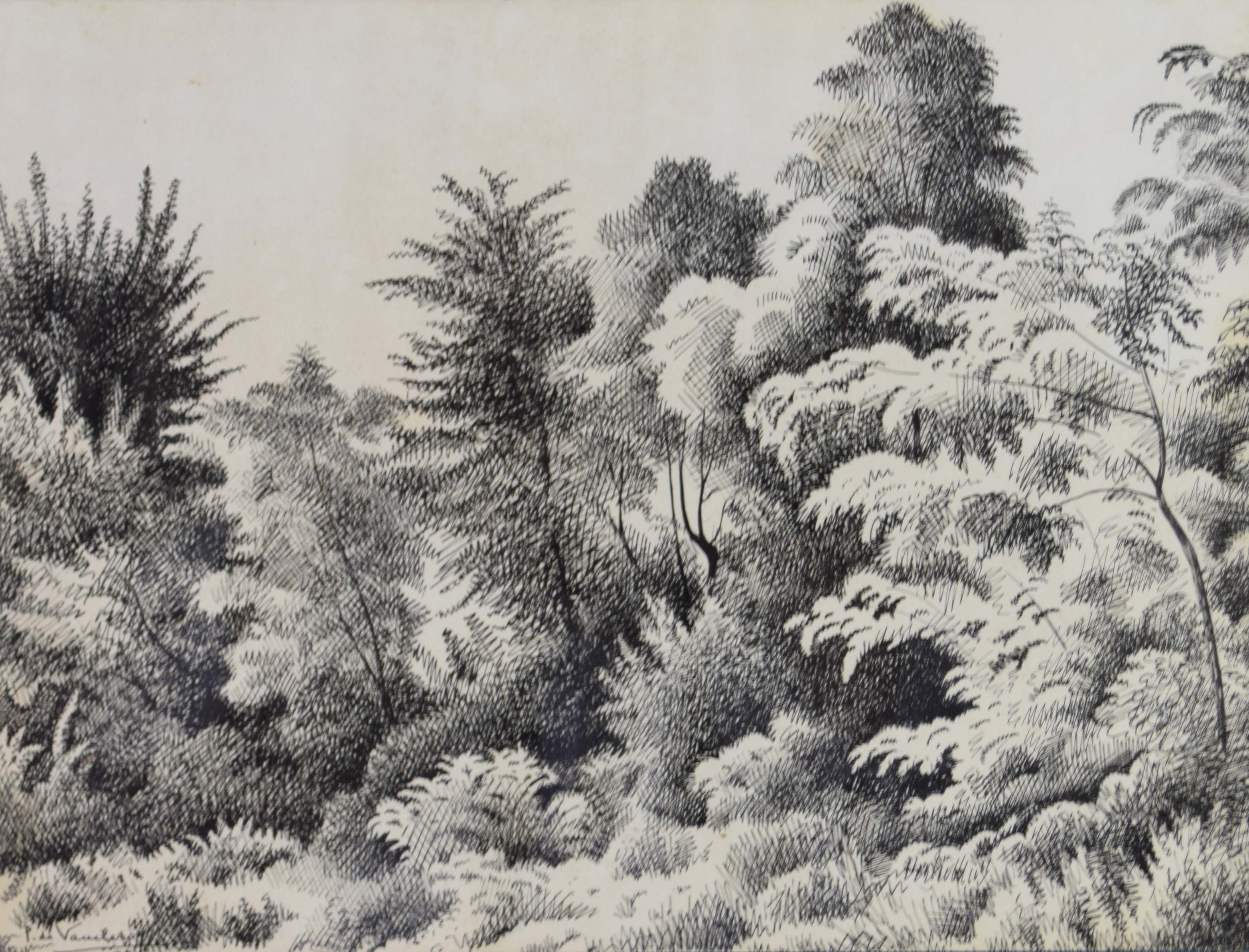 tableau Paysages aux arbres De Vaucleroy Pierre paysage  encre papier 1ère moitié 20e siècle