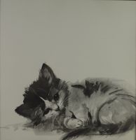 tableau Chat 7 Grabianski Janusz animaux   papier 2ième moitié 20e siècle