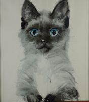 tableau Chat 1 Grabianski Janusz animaux   papier 2ième moitié 20e siècle